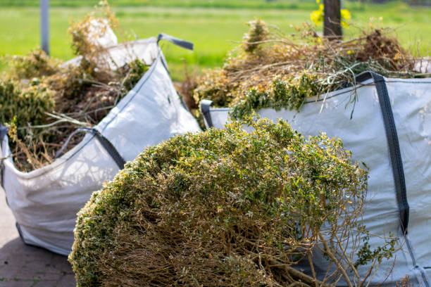 Best Yard Cleanup Services  in Elk Ridge, UT